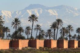 Image du Maroc Professionnelle de  Hormis les remparts de Marrakech qui sont construits entièrement en pisé selon une technique séculaire par l'Almoravide Ali Ben Youssef au début de XIIème siècle pour se protéger des attaques extérieures. La ville rouge dispose d’autres murailles qui protègent les parcs comme celle-ci qui clôturent les jardins de l'Agdal Ba Ahmed. Au fond la chaine de montagne du Haut Atlas enneigé surplombe la plaine du Haouz où de nombreux palmiers des jardins apportent à ce paysage un contraste très accentué, 3 Décembre 2012. (Photo / Abdeljalil Bounhar) 